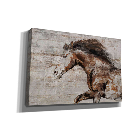 Image of 'WILD HORSE RUNNING 4' by Irena Orlov, Canvas Wall Art