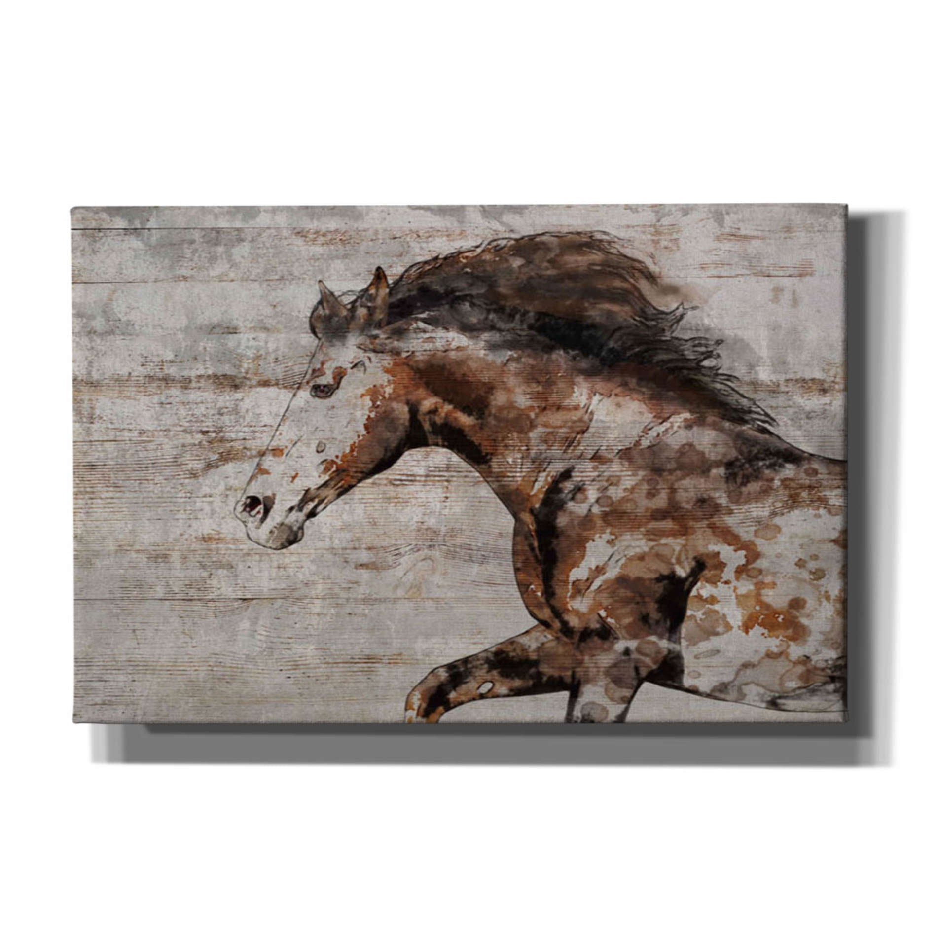 'WILD HORSE RUNNING 4' by Irena Orlov, Canvas Wall Art