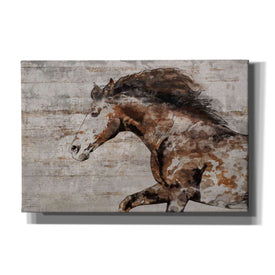 'WILD HORSE RUNNING 4' by Irena Orlov, Canvas Wall Art