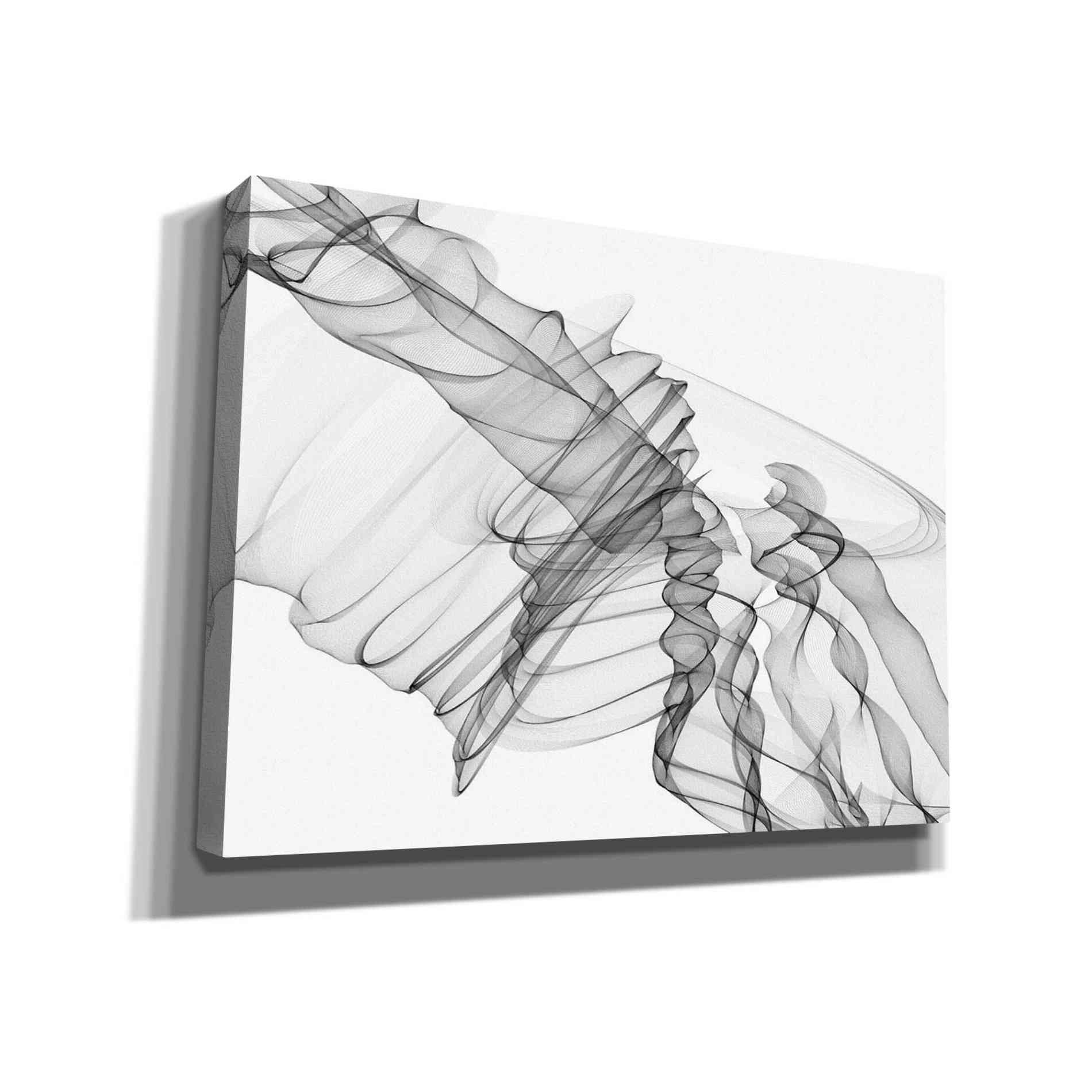 'Abstract Black and White 19-22-36' by Irena Orlov, Canvas Wall Art
