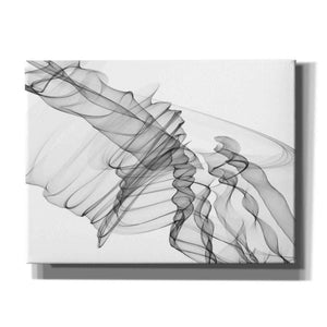 'Abstract Black and White 19-22-36' by Irena Orlov, Canvas Wall Art