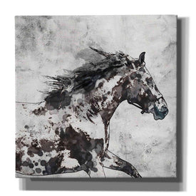 'Bay Horse 4' by Irena Orlov, Canvas Wall Art