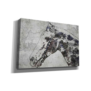 'Black Ghost Horse 2' by Irena Orlov, Canvas Wall Art