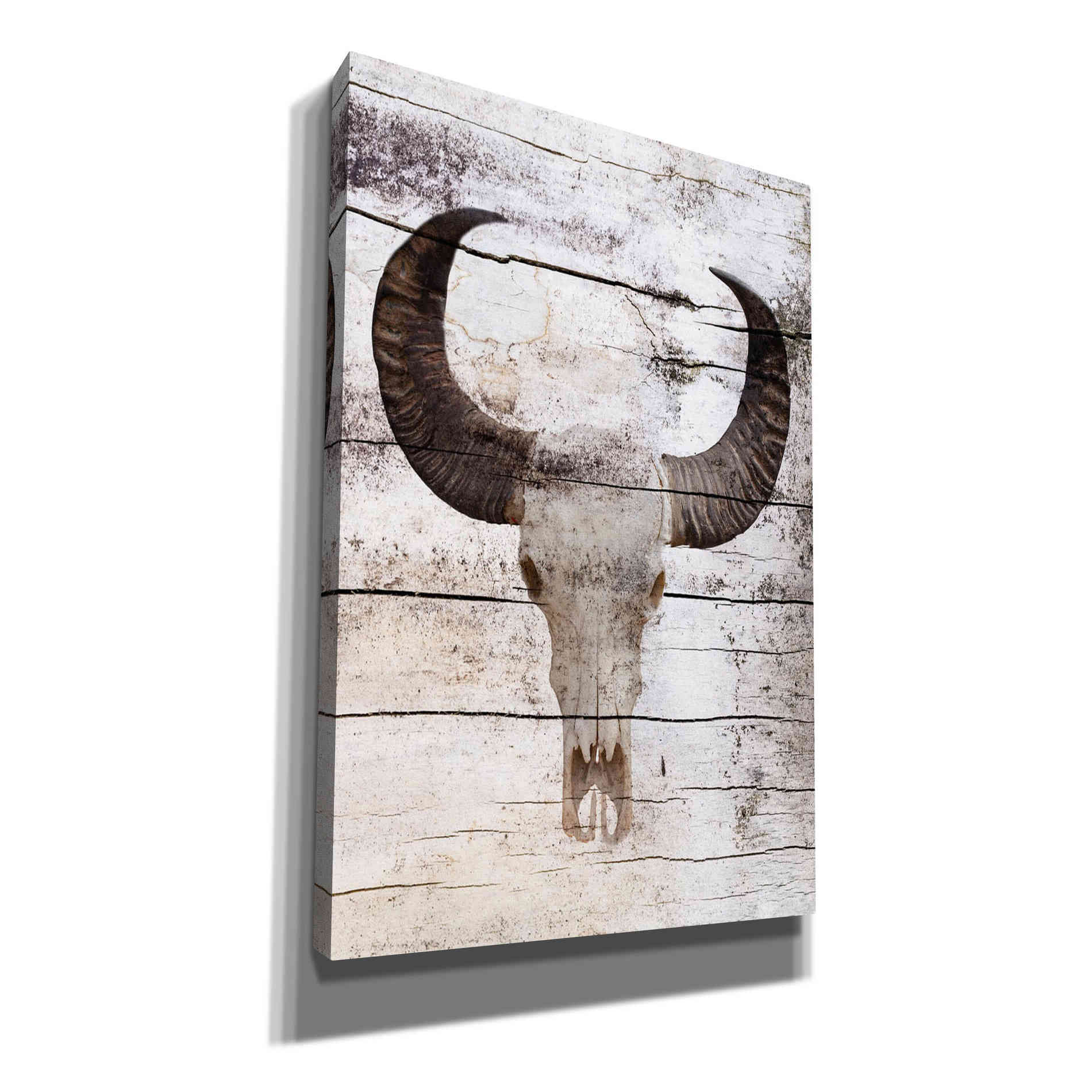 'Bullock Skull' by Irena Orlov, Canvas Wall Art