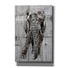 'ELEPHANT Portrait' by Irena Orlov, Canvas Wall Art