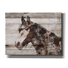 'Jalisco Horse' by Irena Orlov, Canvas Wall Art