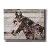 'Jalisco Horse' by Irena Orlov, Canvas Wall Art