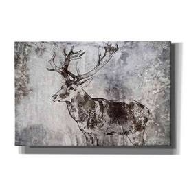 'Javan Rusa' by Irena Orlov, Canvas Wall Art