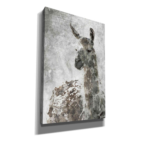 Image of 'Llama' by Irena Orlov, Canvas Wall Art