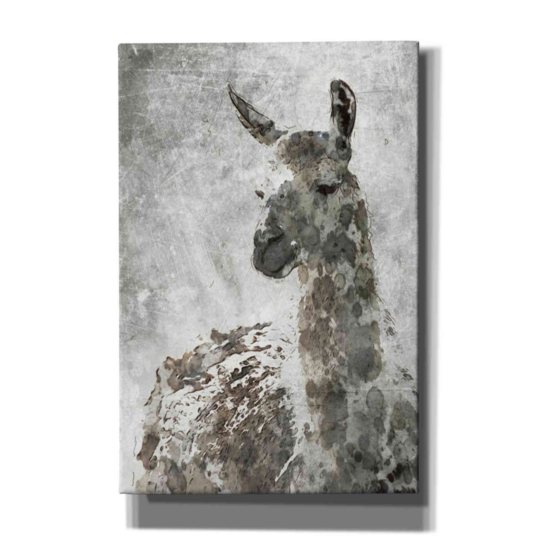 'Llama' by Irena Orlov, Canvas Wall Art