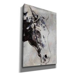 'Morgan Horse-Black Beauty' by Irena Orlov, Canvas Wall Art