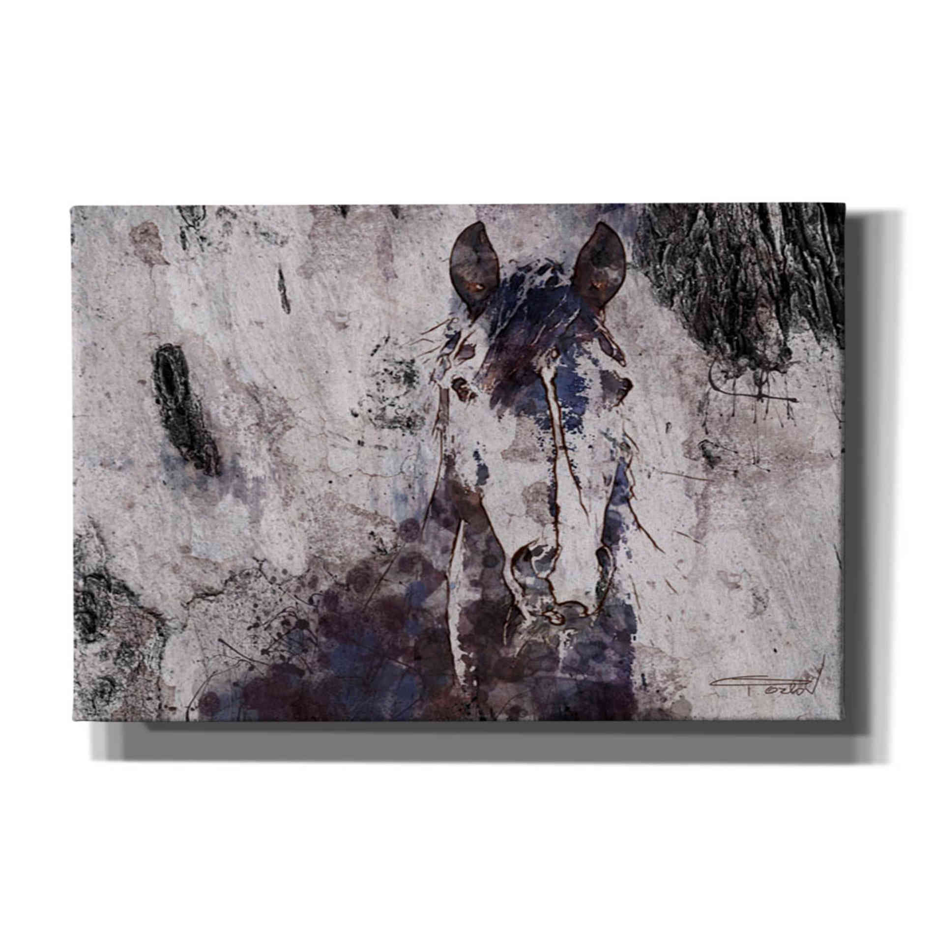 'Mustang Horse 22' by Irena Orlov, Canvas Wall Art