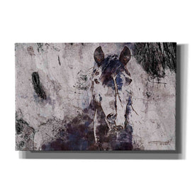 'Mustang Horse 22' by Irena Orlov, Canvas Wall Art