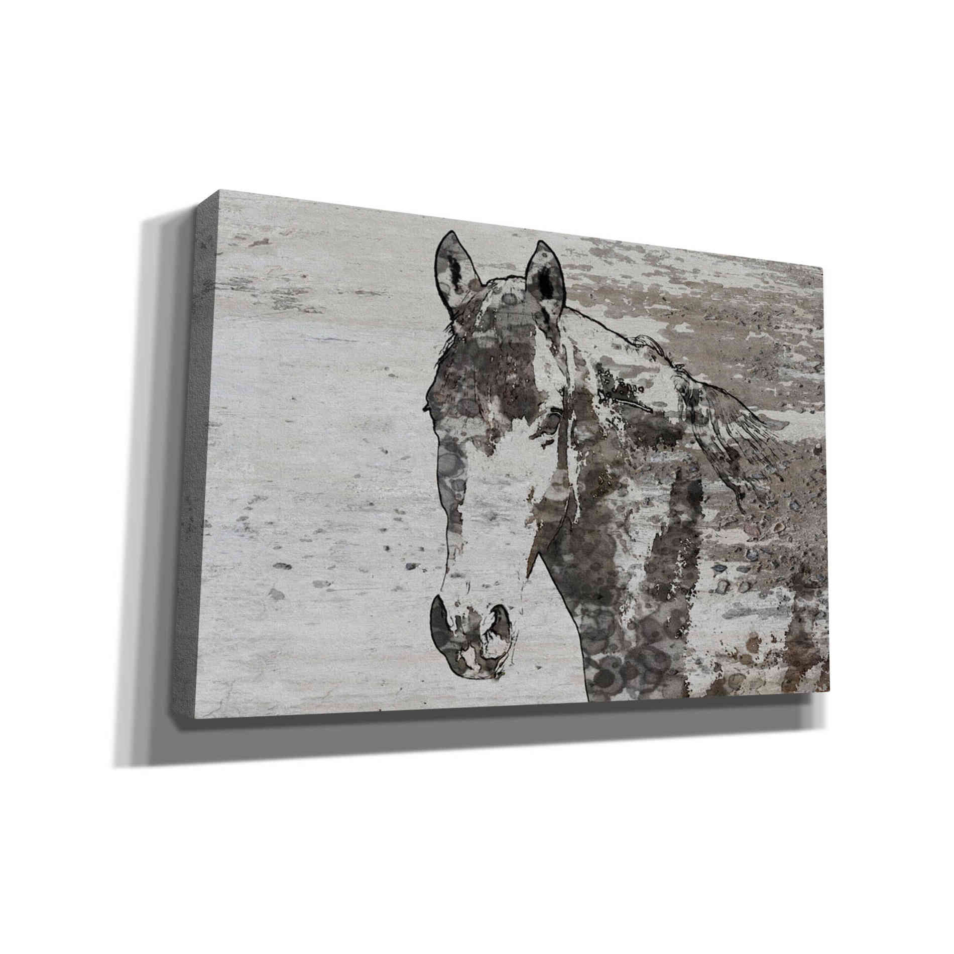 'Portrait of a Horse' by Irena Orlov, Canvas Wall Art