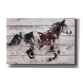 'Running Arabian Horse' by Irena Orlov, Canvas Wall Art