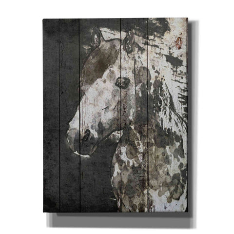Image of 'SPIRIT EYE Horse' by Irena Orlov, Canvas Wall Art