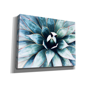 'Tropical Star' by Irena Orlov, Canvas Wall Art