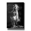 'Wild Running Horse 3' by Irena Orlov, Canvas Wall Art