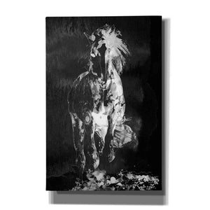'Wild Running Horse 3' by Irena Orlov, Canvas Wall Art