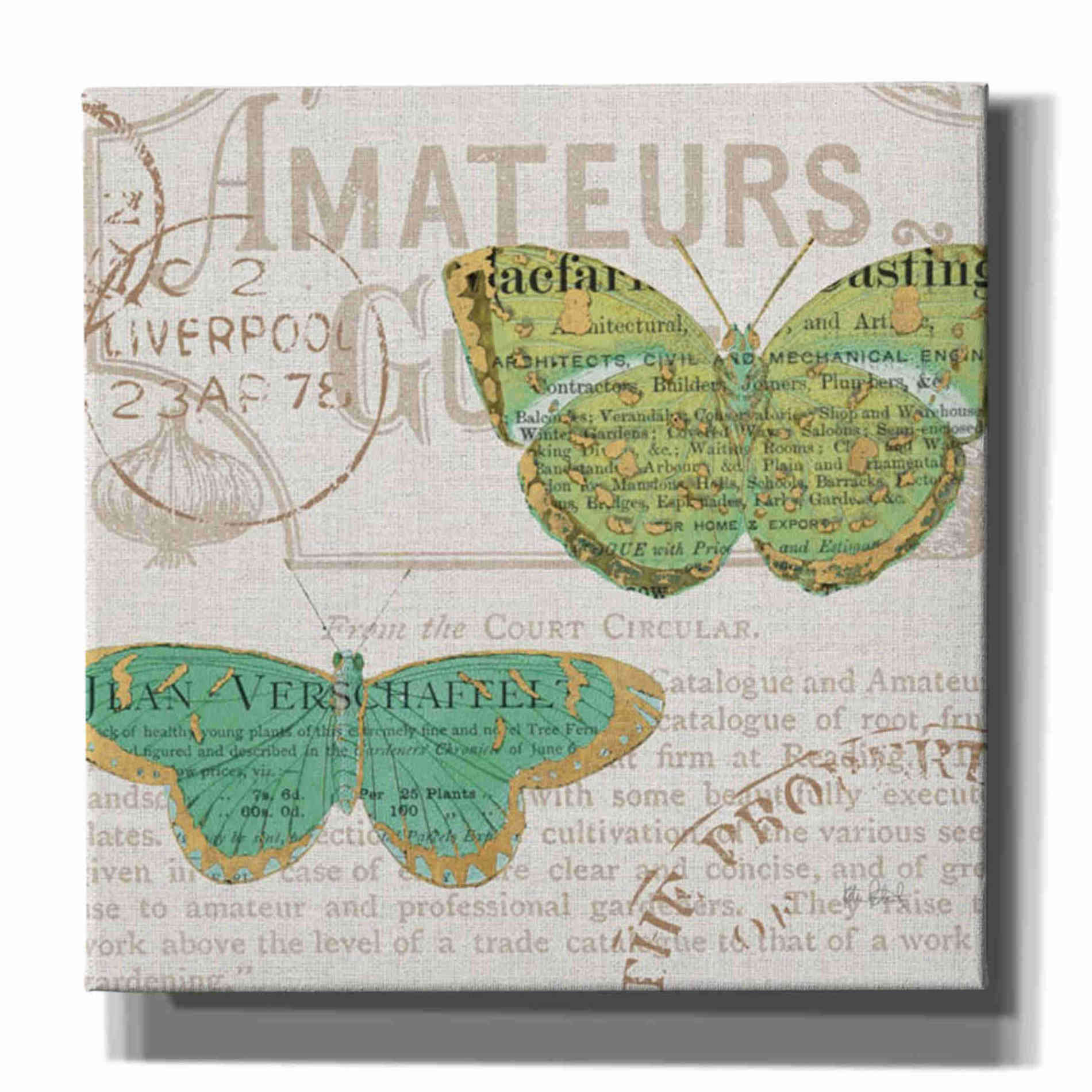 'Bookshelf Botanical IX' by Katie Pertiet, Canvas Wall Art