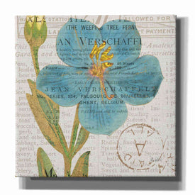 'Bookshelf Botanical VI' by Katie Pertiet, Canvas Wall Art