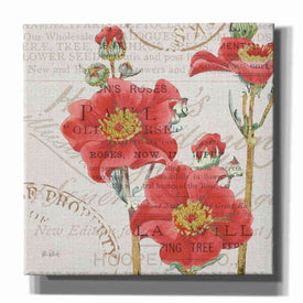 'Bookshelf Botanical V' by Katie Pertiet, Canvas Wall Art