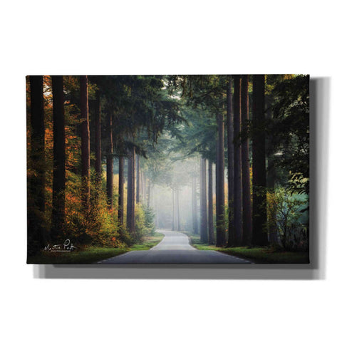 Image of 'Mysterious Roads' by Martin Podt, Canvas Wall Art,Size A Landscape
