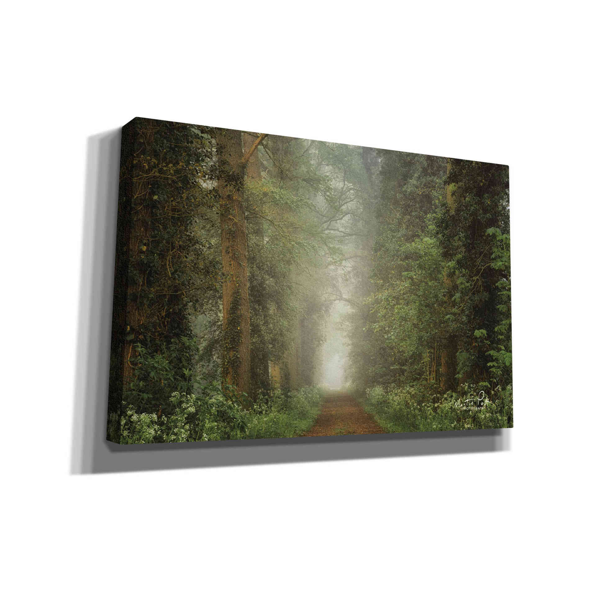 'Misty Spring Road' by Martin Podt, Canvas Wall Art,Size A Landscape
