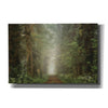 'Misty Spring Road' by Martin Podt, Canvas Wall Art,Size A Landscape