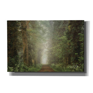 'Misty Spring Road' by Martin Podt, Canvas Wall Art,Size A Landscape