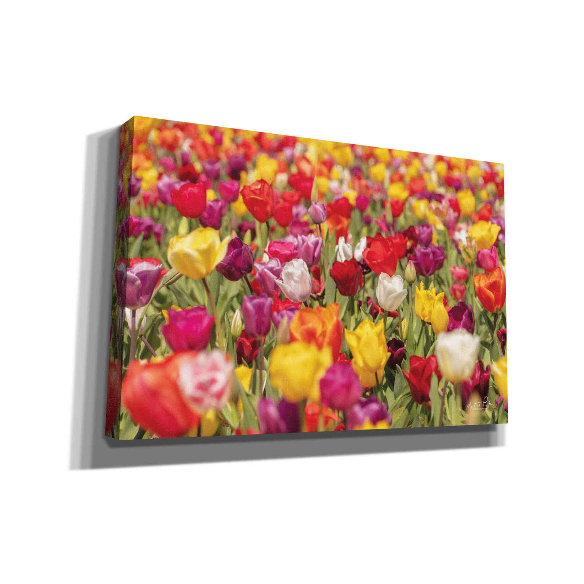 'Colorful Bouquet' by Martin Podt, Canvas Wall Art,Size A Landscape