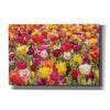 'Colorful Bouquet' by Martin Podt, Canvas Wall Art,Size A Landscape
