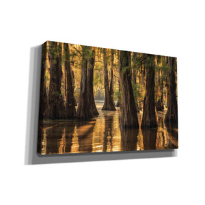 'Natural Beauty' by Martin Podt, Canvas Wall Art,Size A Landscape