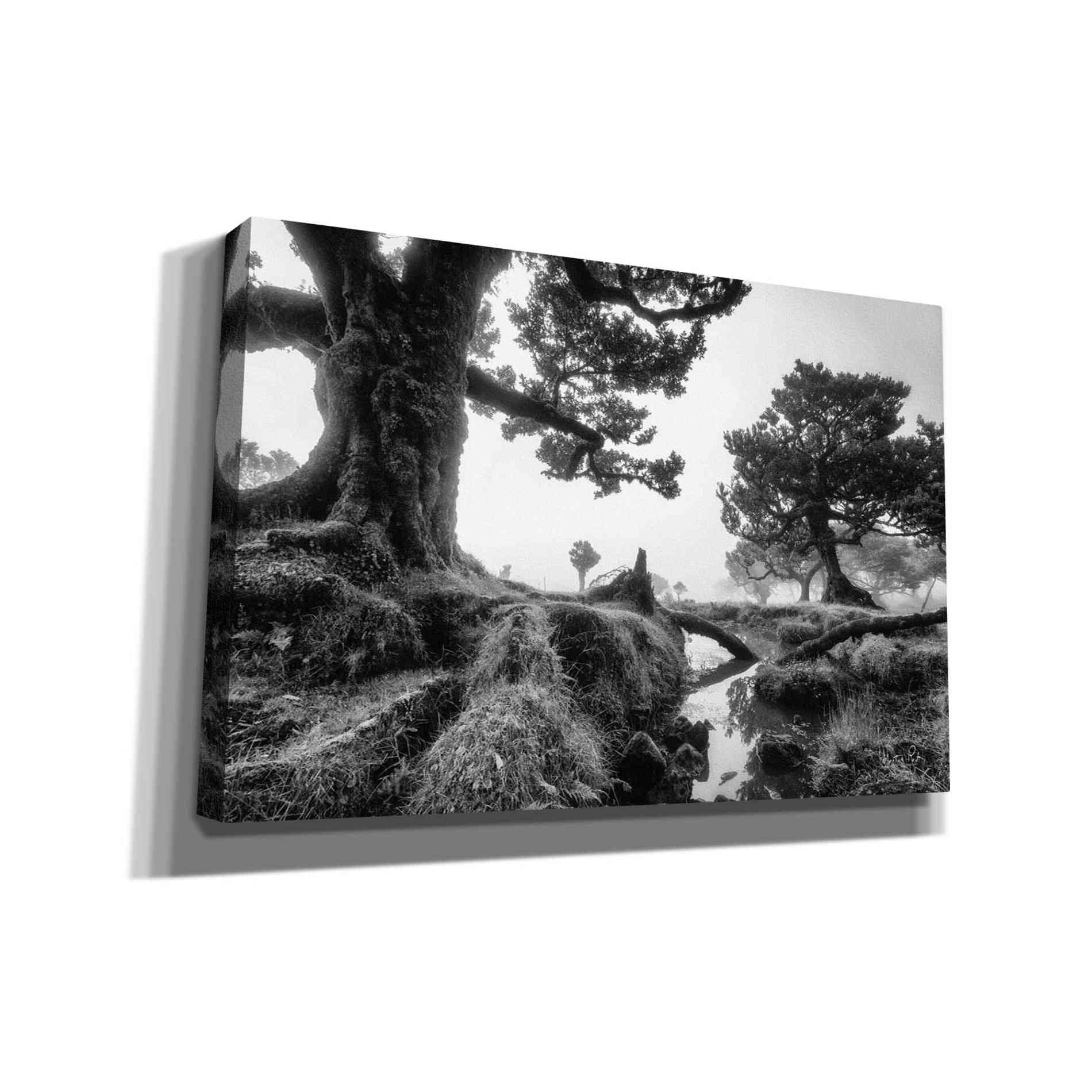 'Black & White Fanal' by Martin Podt, Canvas Wall Art,Size A Landscape