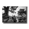 'Black & White Fanal' by Martin Podt, Canvas Wall Art,Size A Landscape