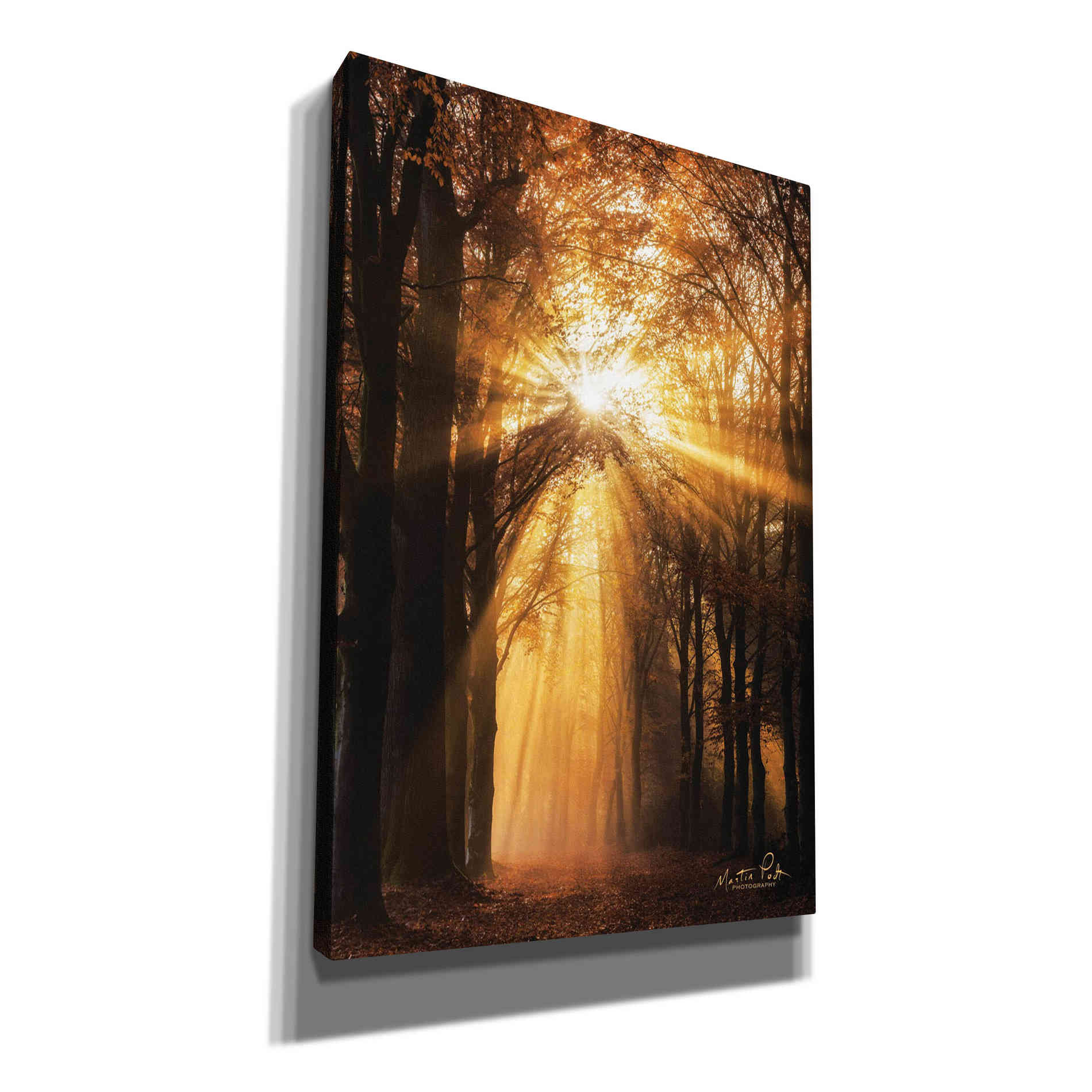 'Sunburst' by Martin Podt, Canvas Wall Art,Size A Portrait