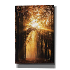'Sunburst' by Martin Podt, Canvas Wall Art,Size A Portrait