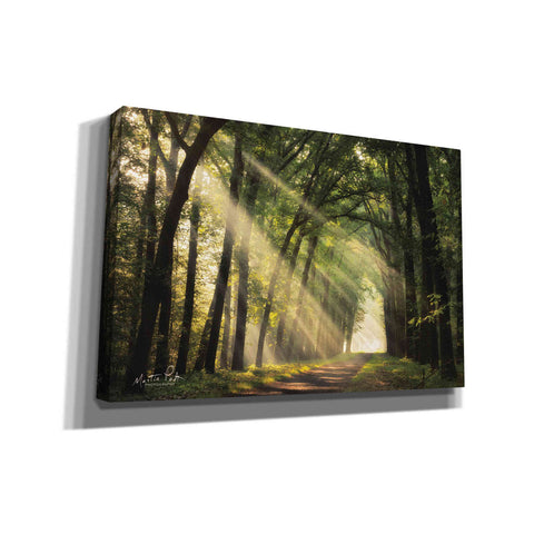 Image of 'The Light of Lochem' by Martin Podt, Canvas Wall Art,Size A Landscape