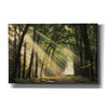 'The Light of Lochem' by Martin Podt, Canvas Wall Art,Size A Landscape