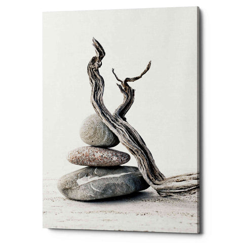 Image of 'Elemental Zen' by Elena Ray Canvas Wall Art
