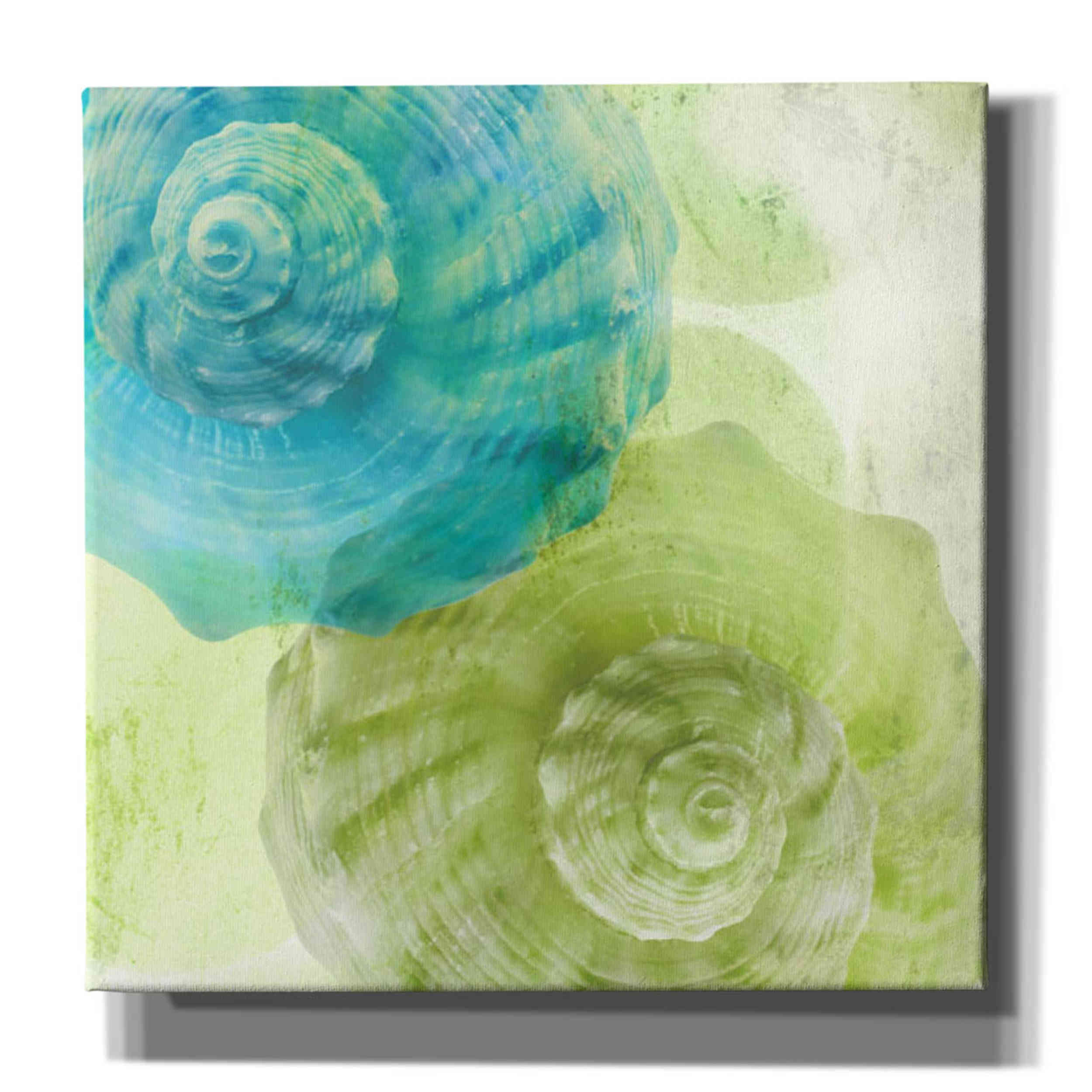 'Luminous Seashells 3' by Elena Ray Canvas Wall Art