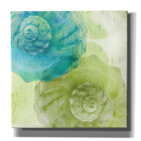 'Luminous Seashells 3' by Elena Ray Canvas Wall Art