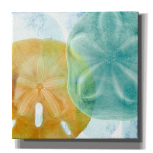 'Luminous Seashells' by Elena Ray Canvas Wall Art