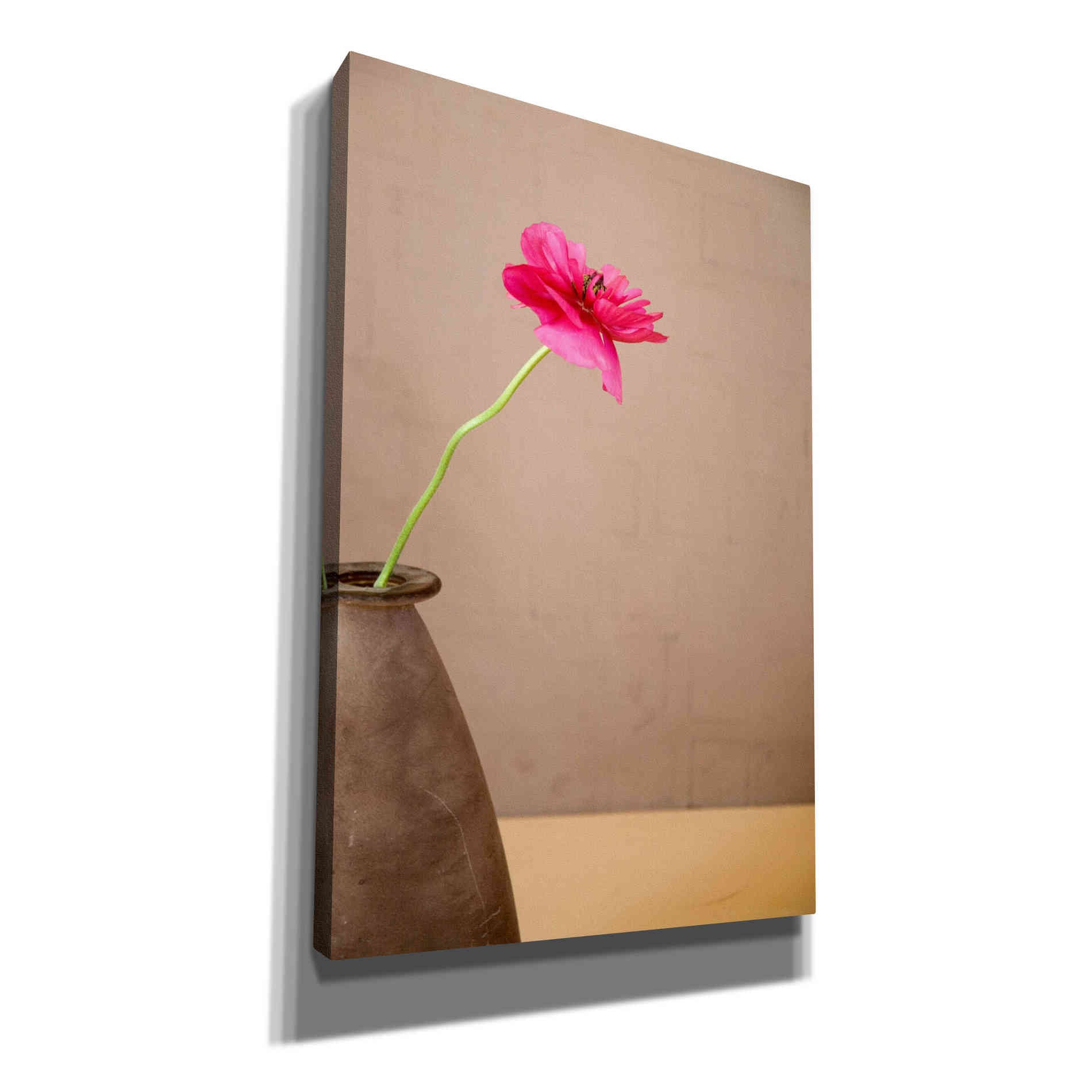 'Simple' by Elena Ray Canvas Wall Art