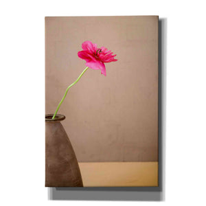 'Simple' by Elena Ray Canvas Wall Art