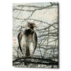 'Bird of Prey' by River Han, Giclee Canvas Wall Art