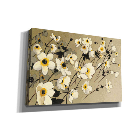 Image of 'Anemones Japonaises Blancs' by Shirley Novak, Canvas Wall Art