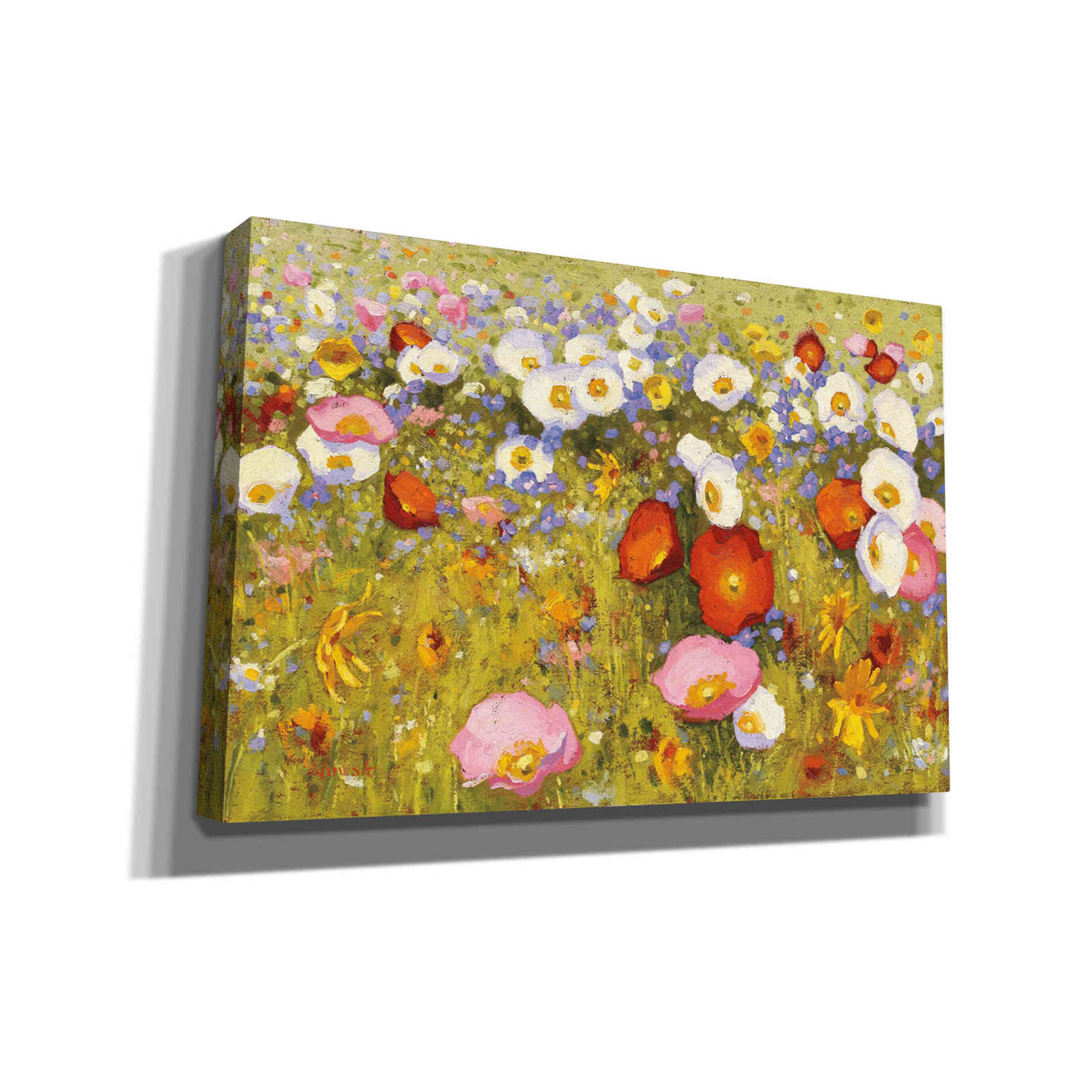 'Champ de Fleur III' by Shirley Novak, Canvas Wall Art