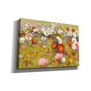 'Champ de Fleur III' by Shirley Novak, Canvas Wall Art