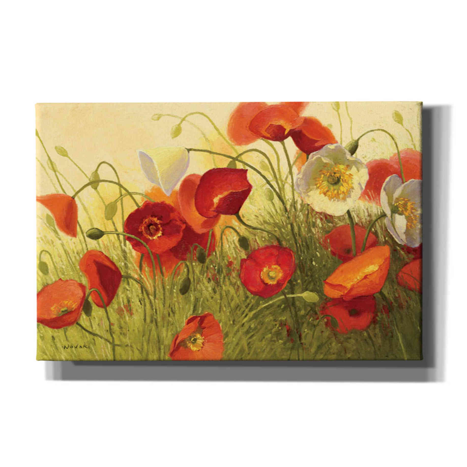 'Havin a Heat Wave' by Shirley Novak, Canvas Wall Art